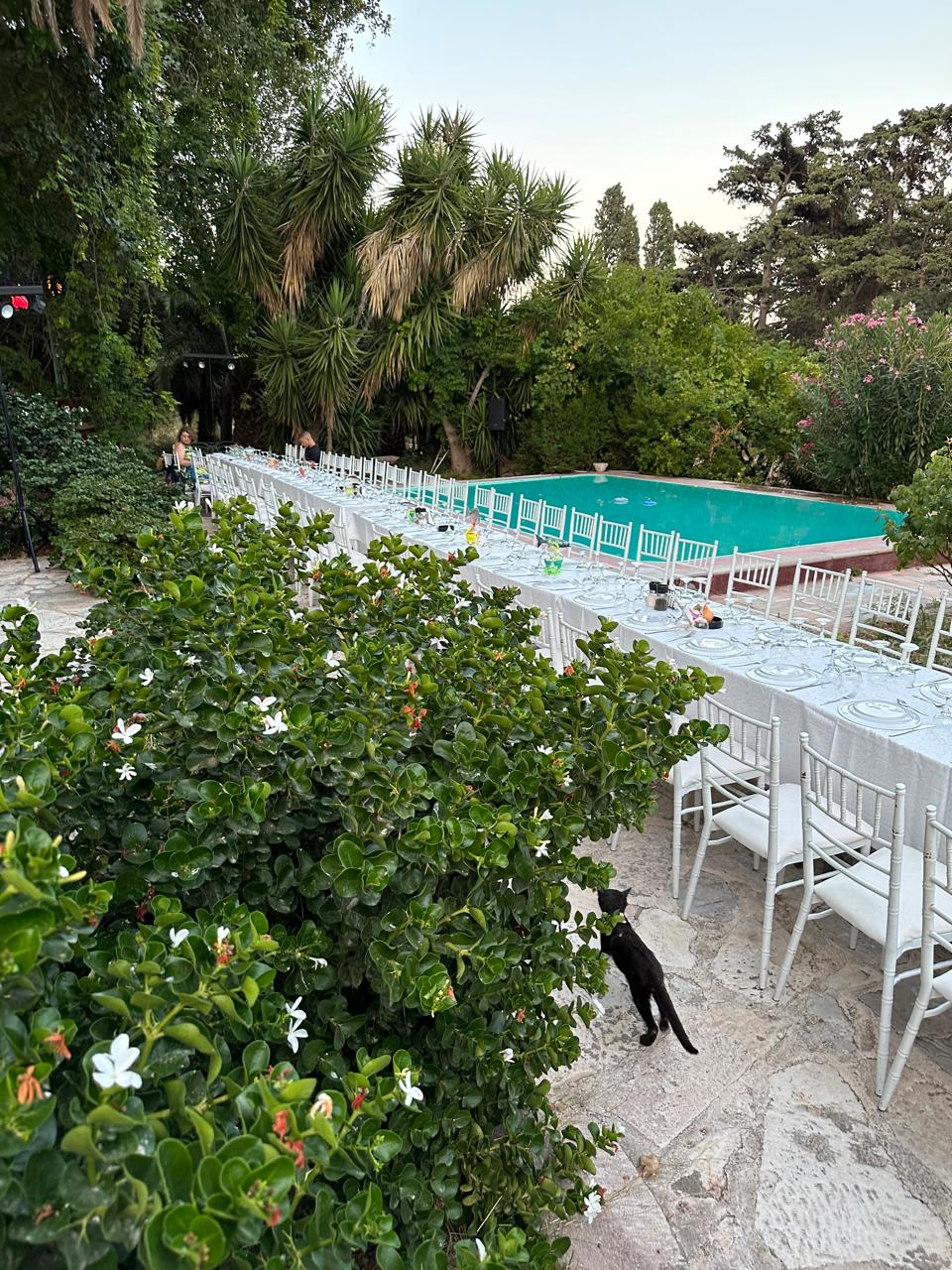 d901a0d2-7d81-4ffa-a541-15d09774461c